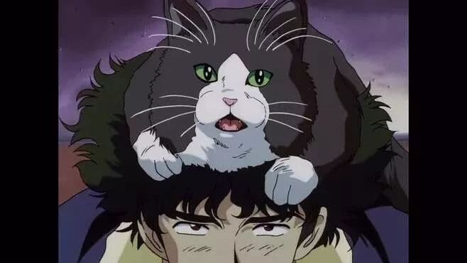 cowboy与青椒肉丝